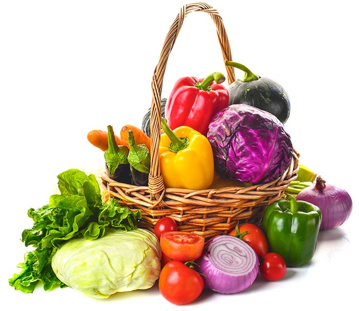 Nutrição